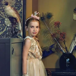 Déguisement princesse Noraline (5-7 ans)