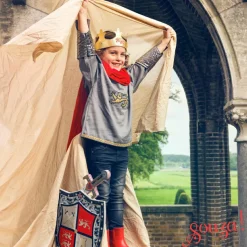 Déguisement Roi Arthur (5-7 ans)