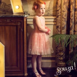 Déguisement Roselyne robe (2 ans)