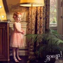 Déguisement Roselyne robe (2 ans)