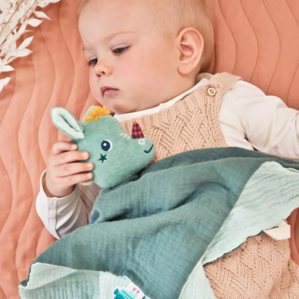 Doudou attache sucette plat éco Joe (32 cm)