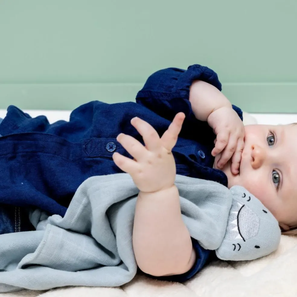 Doudou plat Bliss Mr. Shark