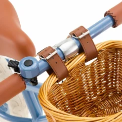 Draisienne First Go Blue