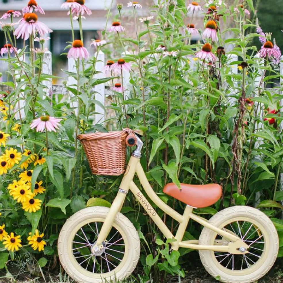 Draisienne First Go crème