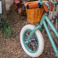 Draisienne First Go Forest