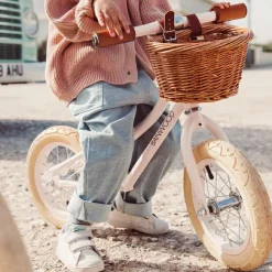 Draisienne First Go rose