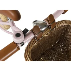 Draisienne First Go rose