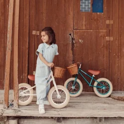 Draisienne First Go rose