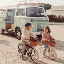 Draisienne First Go rose