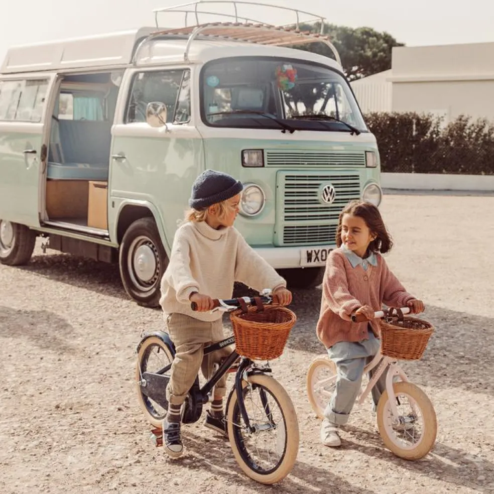 Draisienne First Go rose