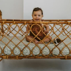 Drap housse Leaves (60 x 120 cm)