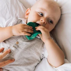 Feuille de Chlorophylle jouet de dentition