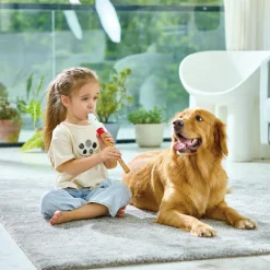 Flûte à bec débutant