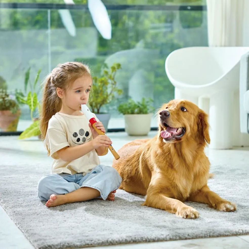 Flûte à bec débutant