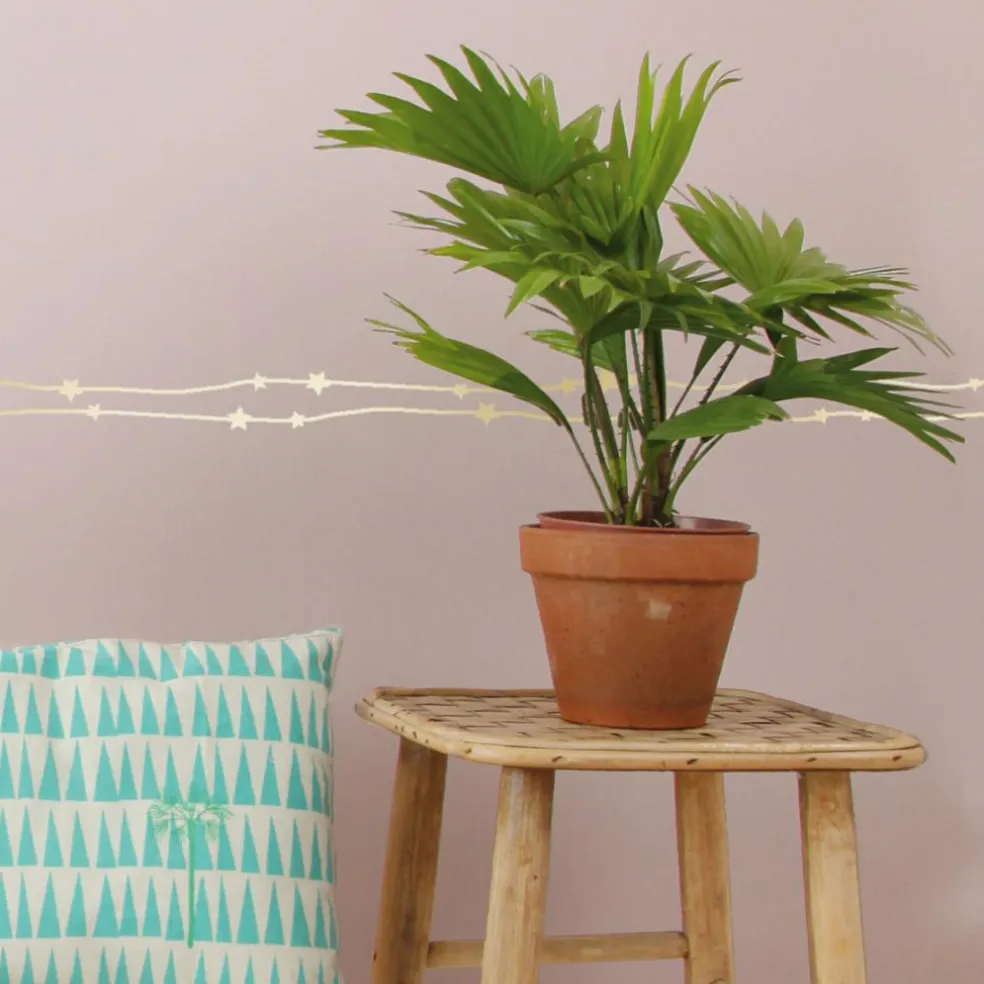 Frise adhésive Etoiles dorées (5 mètres)