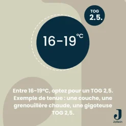 Gigoteuse à manches amovibles Velvet Olive Green TOG 2-3 (3-6 mois)