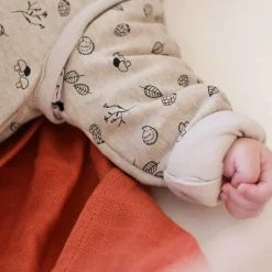 Gigoteuse à manches amovibles Forest TOG 2,5 (6-18 mois)