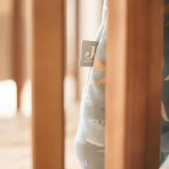 Gigoteuse à manches amovibles Roarsome (6-18 mois)