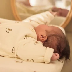 Gigoteuse à manches amovibles Nostalgic Ride (18-24 mois)