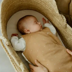 Gigoteuse 4 saisons royale (0-6 mois)