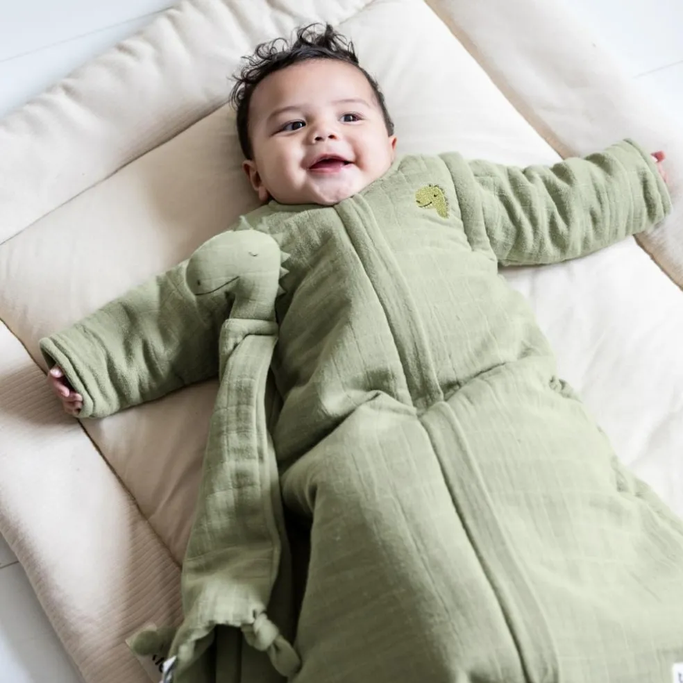 Gigoteuse 4 saisons TOG 1,4 Bliss Sage Mr. Dino (3-8 mois)
