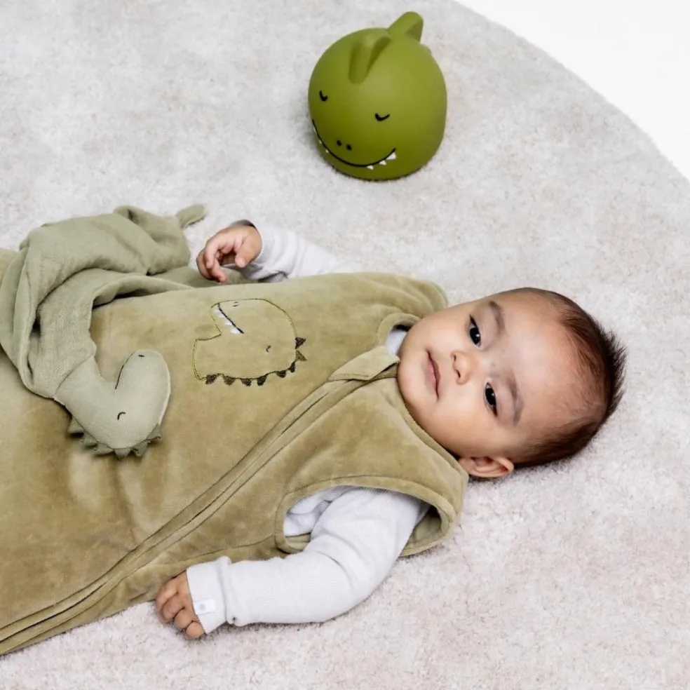 Gigoteuse 4 saisons TOG 2 sans manches Mr. Dino (12-18 mois)