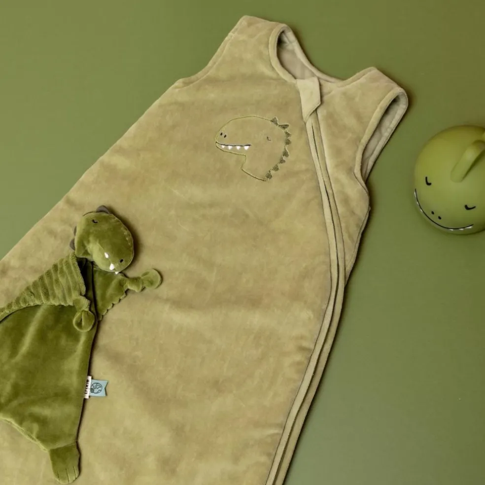 Gigoteuse 4 saisons TOG 2 sans manches Mr. Dino (12-18 mois)