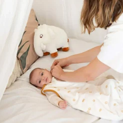 Gigoteuse Diplododo TOG 2,5 (0-6 mois)