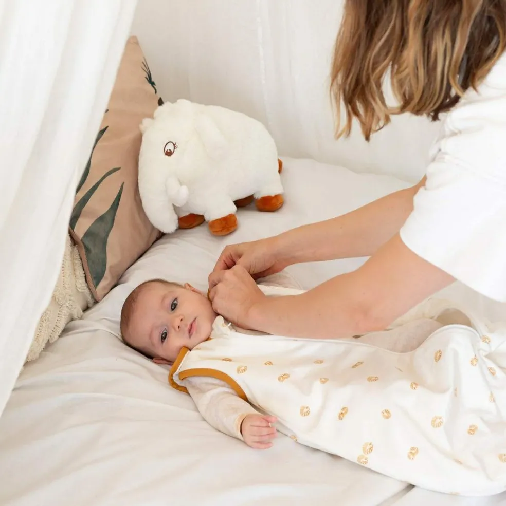 Gigoteuse Diplododo TOG 2,5 (0-6 mois)