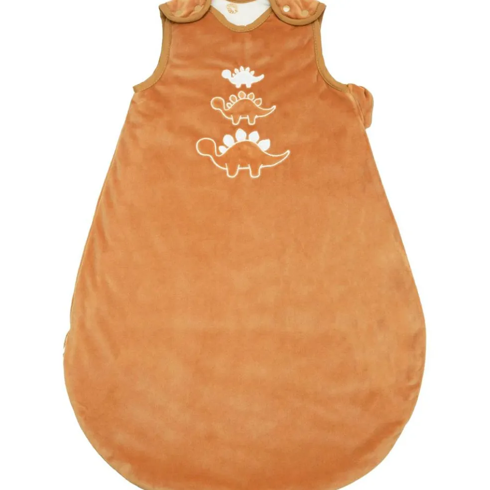 Gigoteuse Diplododo TOG 2,5 (0-6 mois)