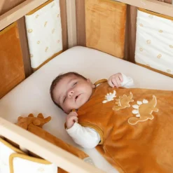 Gigoteuse Diplododo TOG 2,5 (0-6 mois)