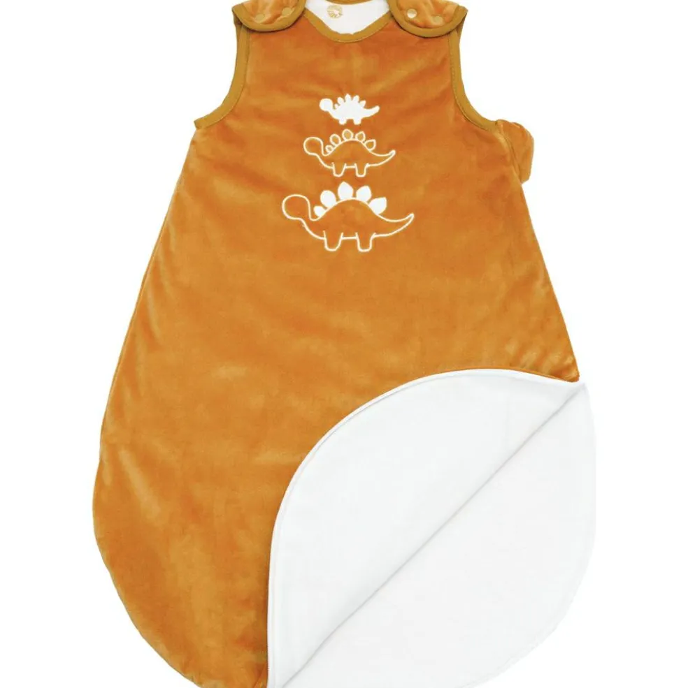 Gigoteuse Diplododo TOG 2,5 (0-6 mois)