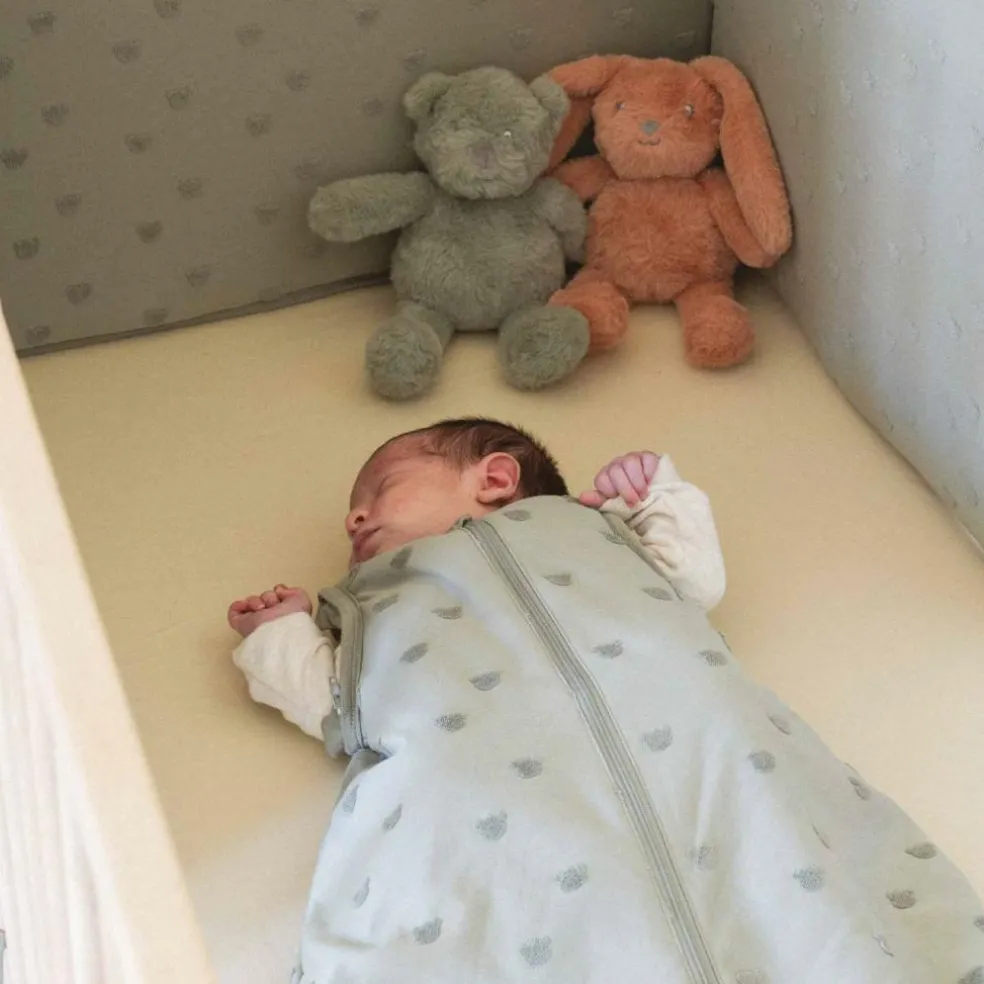 Gigoteuse manches amovibles TOG 2,5 Honey Argile (0-6 mois)