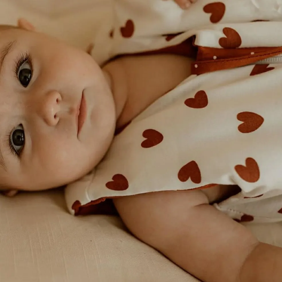 Gigoteuse réversible 4 saisons terra-coeurs (6-18 mois)