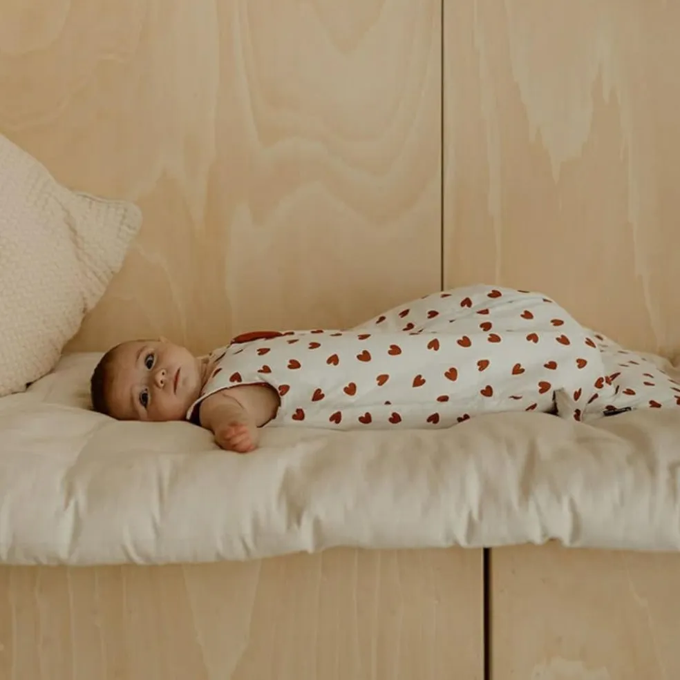 Gigoteuse réversible 4 saisons terra-coeurs 0-6 mois