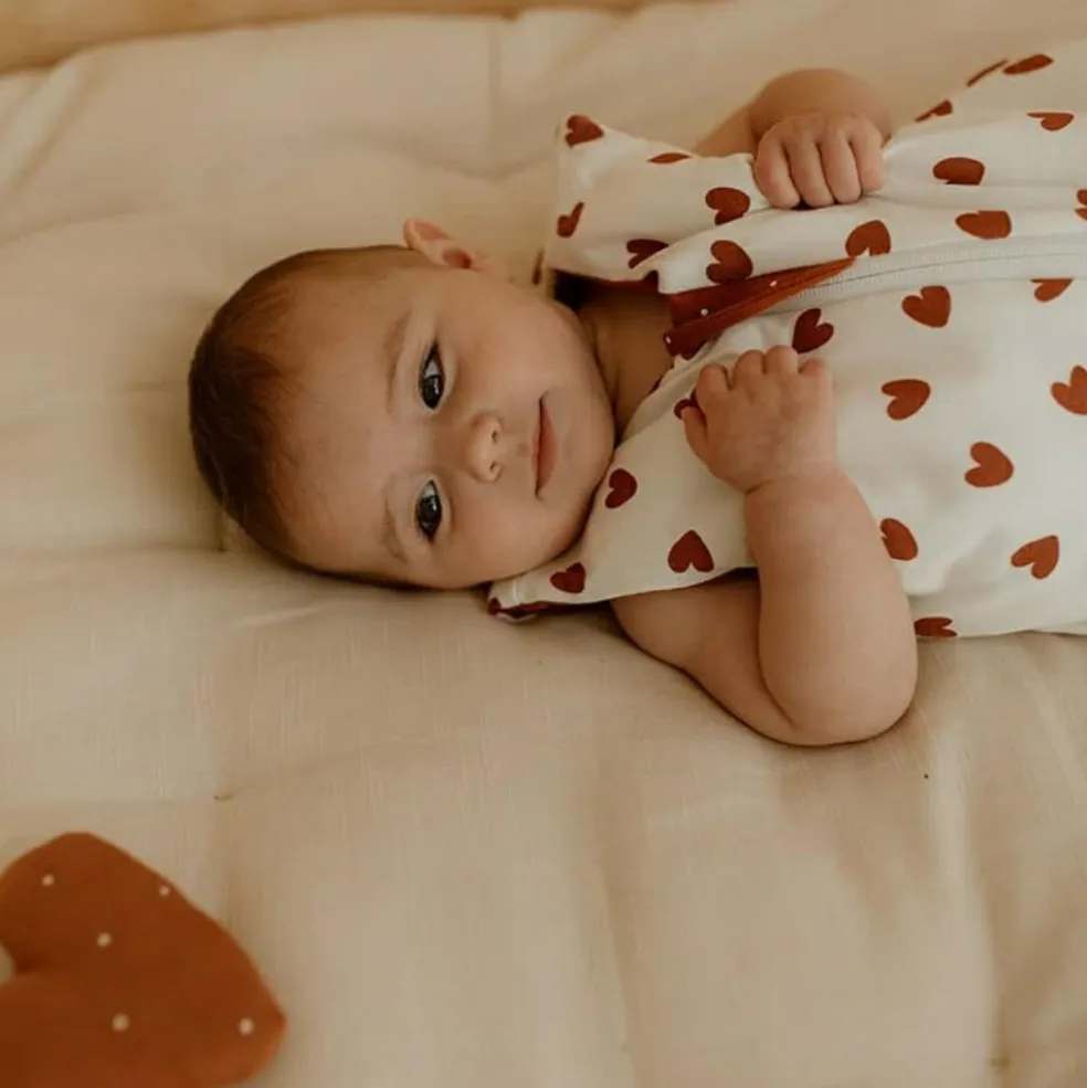 Gigoteuse réversible 4 saisons terra-coeurs 0-6 mois