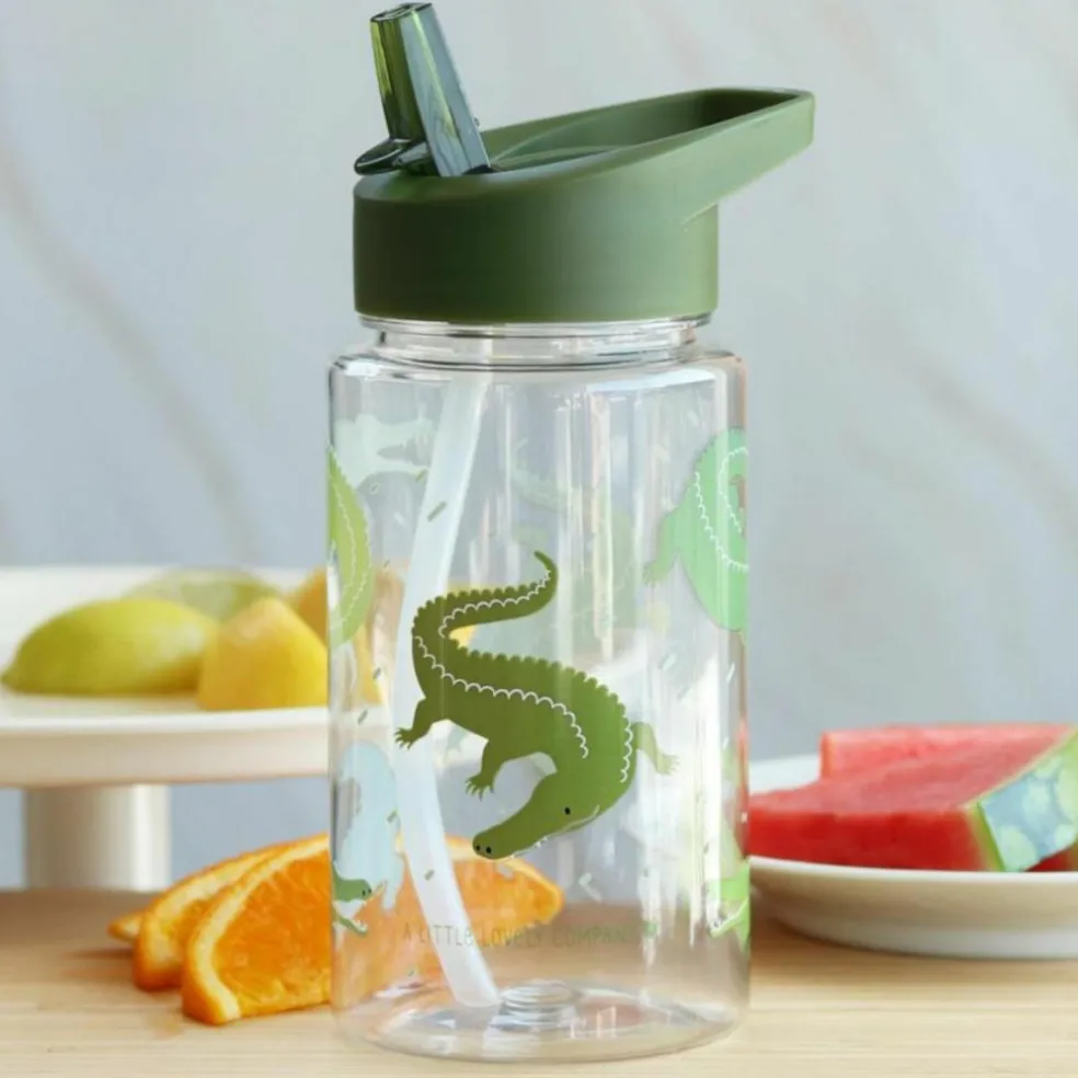 Gourde Crocodiles (450 ml)