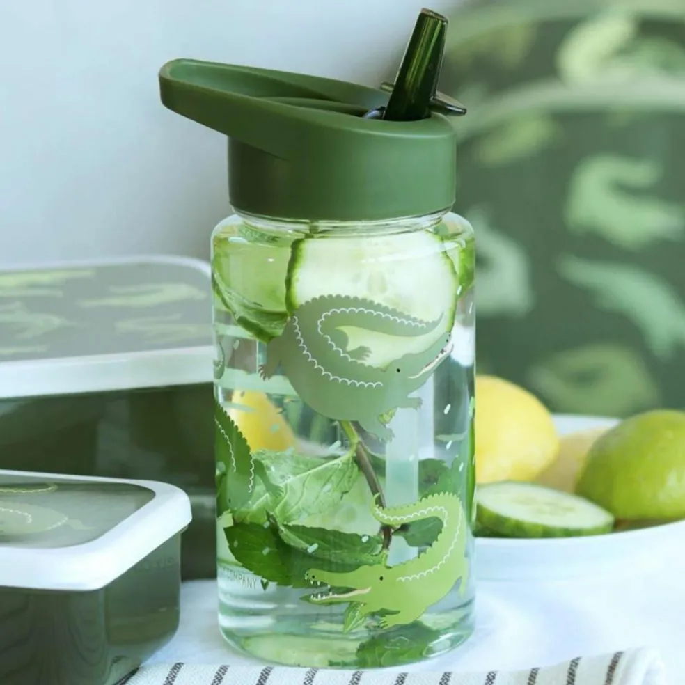 Gourde Crocodiles (450 ml)