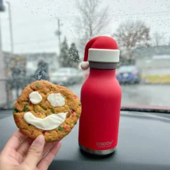 Gourde isotherme Bestie Père Noël (460 ml)