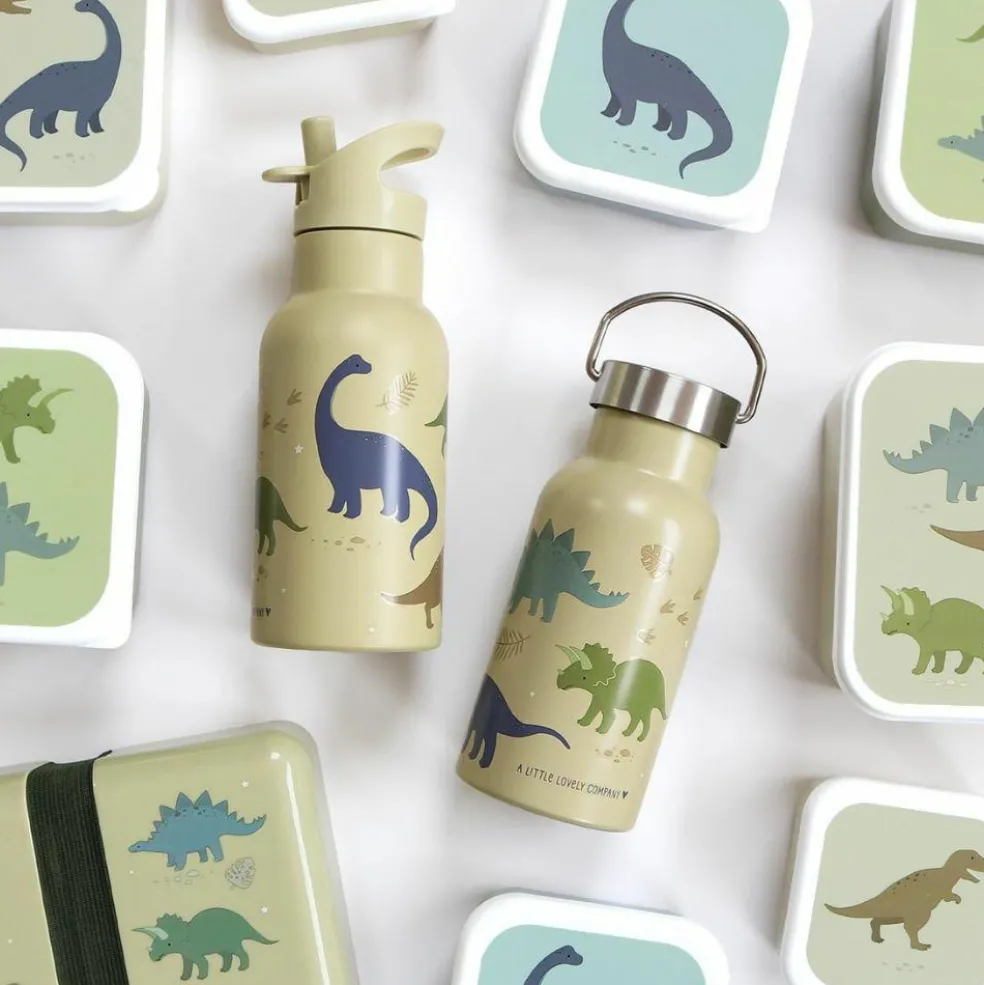 Gourde isotherme Dinosaures (350 ml)