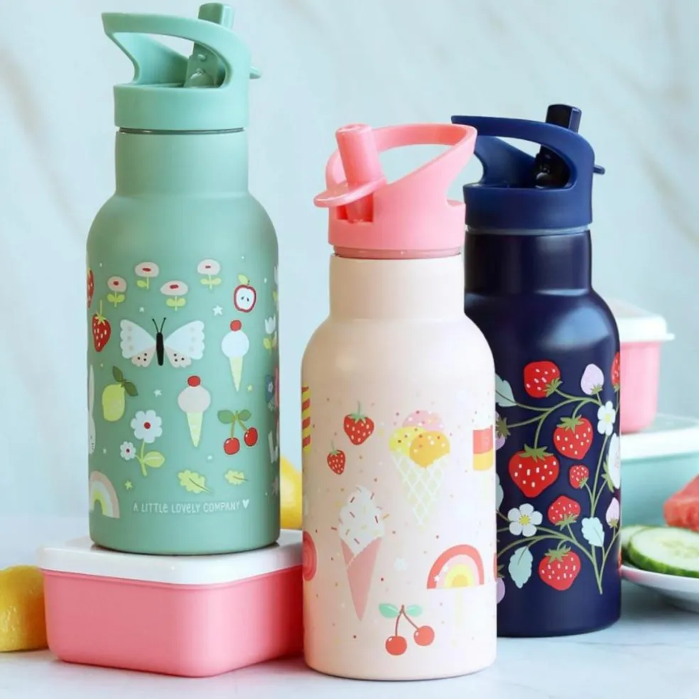 Gourde isotherme Joie (350 ml)