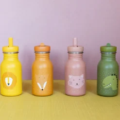 Gourde isotherme Mr. Dino (350 ml)