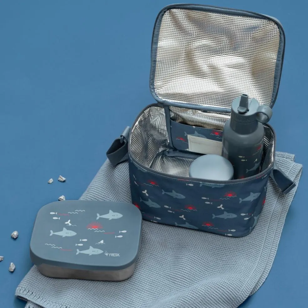 Gourde isotherme nordic Shark (350 ml)