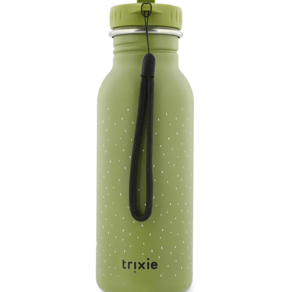 Gourde Mr. Dino (500 ml)
