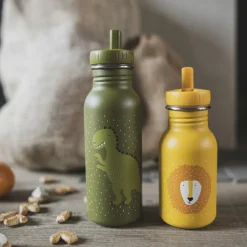 Gourde Mr. Dino (500 ml)