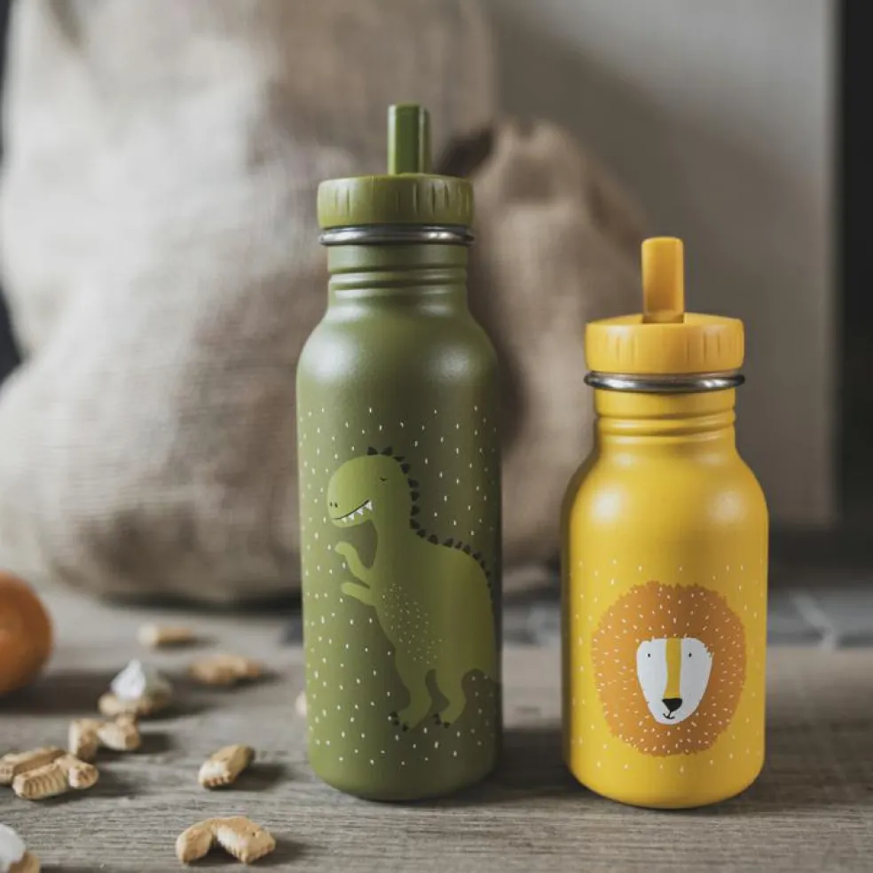 Gourde Mr. Dino (500 ml)