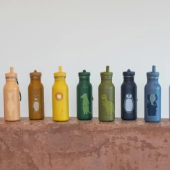 Gourde Mr. Dino (500 ml)