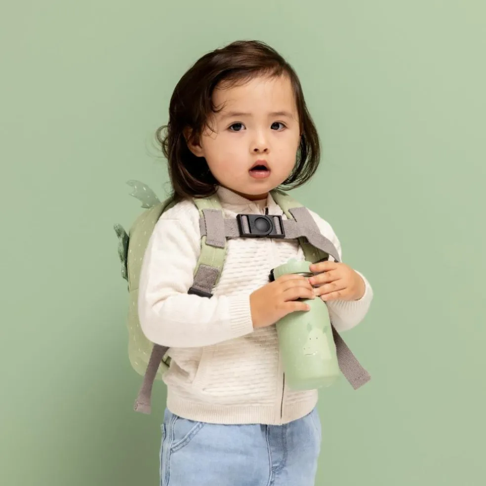 Gourde Mr. Dragon (350 ml)