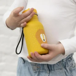 Gourde Mr. Lion (350 ml)