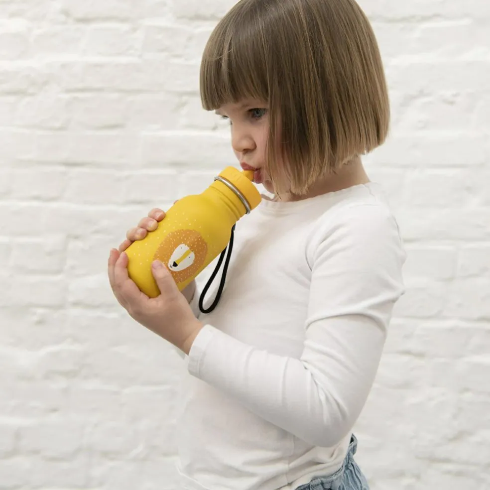 Gourde Mr. Lion (350 ml)
